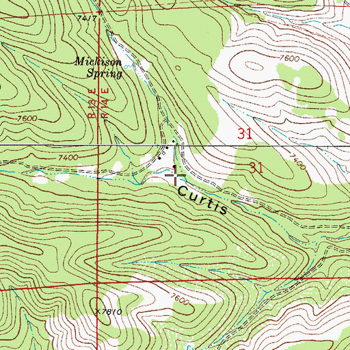 Topographic Map of Mickison Canyon, NM
