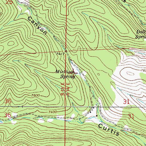 Topographic Map of Mickison Spring, NM