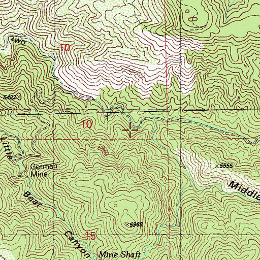 Topographic Map of Middle Bear Canyon, NM
