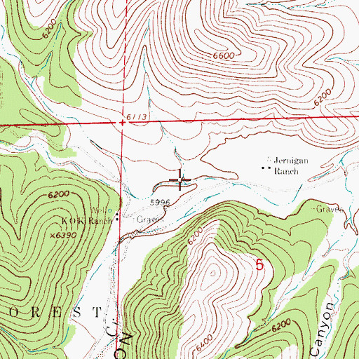 Topographic Map of Middle Canyon, NM