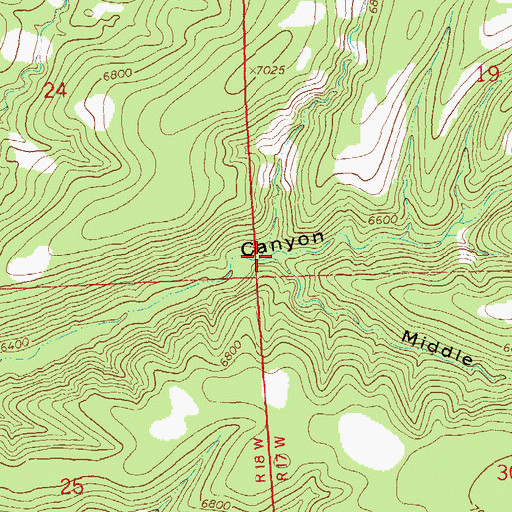Topographic Map of Middle Canyon, NM