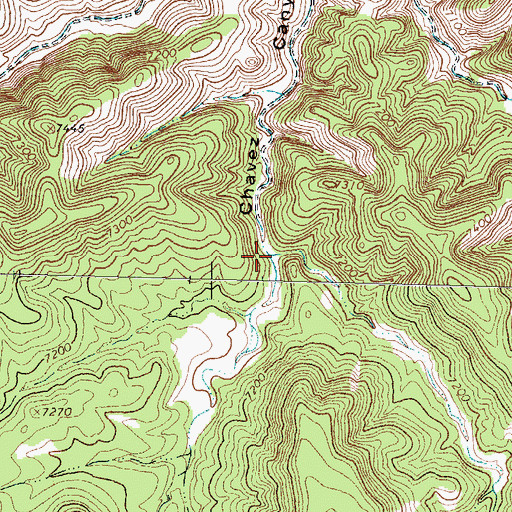 Topographic Map of Middle Canyon, NM