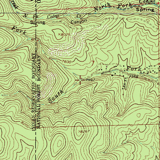 Topographic Map of Middle Fork Cedar Creek, NM