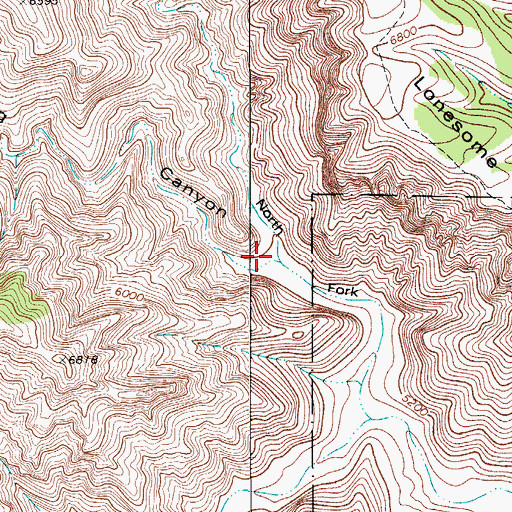 Topographic Map of Middle Fork Big Canyon, NM
