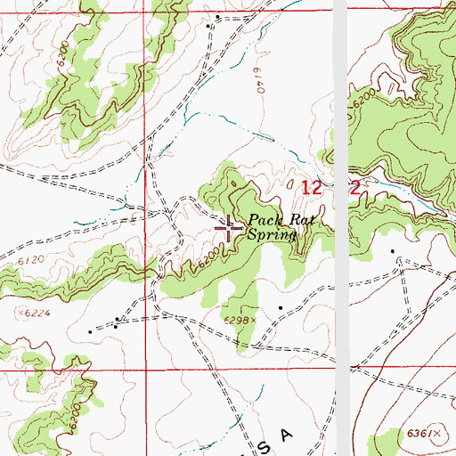 Topographic Map of Pack Rat Spring, AZ
