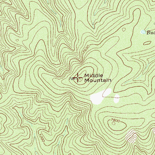 Topographic Map of Middle Mountain, NM