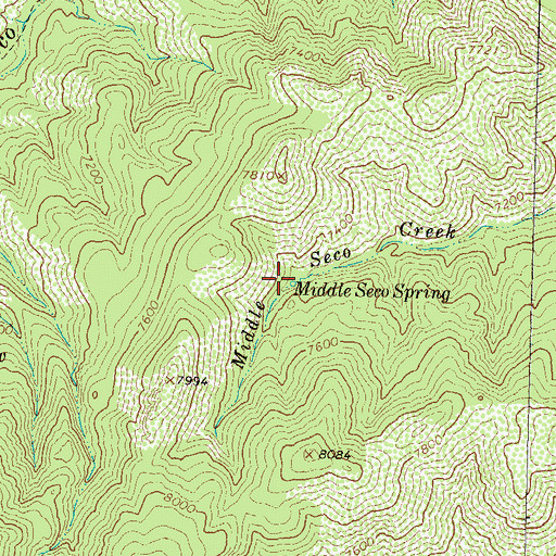 Topographic Map of Middle Seco Spring, NM