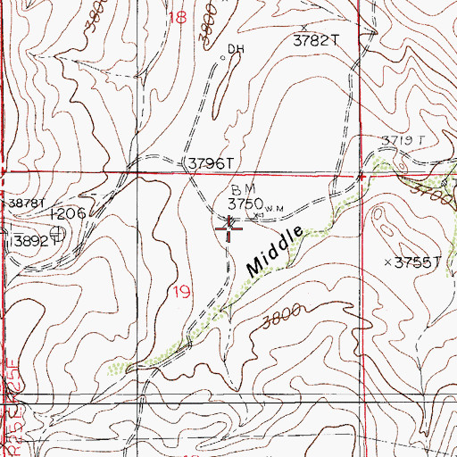 Topographic Map of Miller Ranch, NM