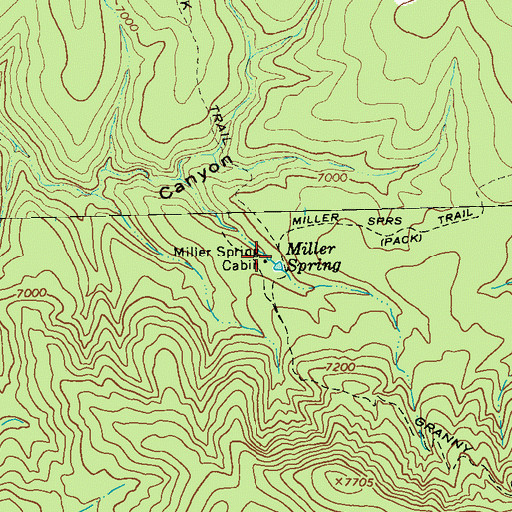 Topographic Map of Miller Spring, NM