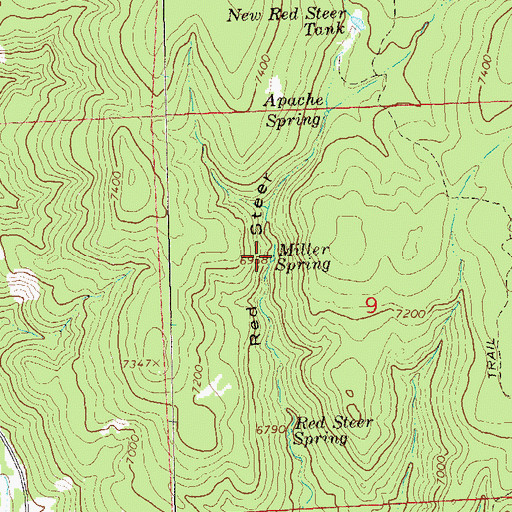 Topographic Map of Miller Spring, NM