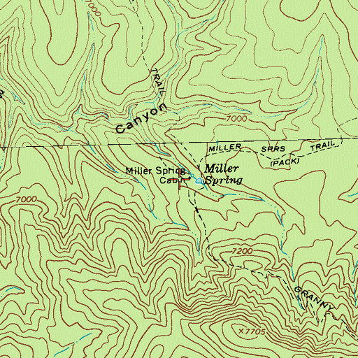 Topographic Map of Miller Spring Cabin, NM