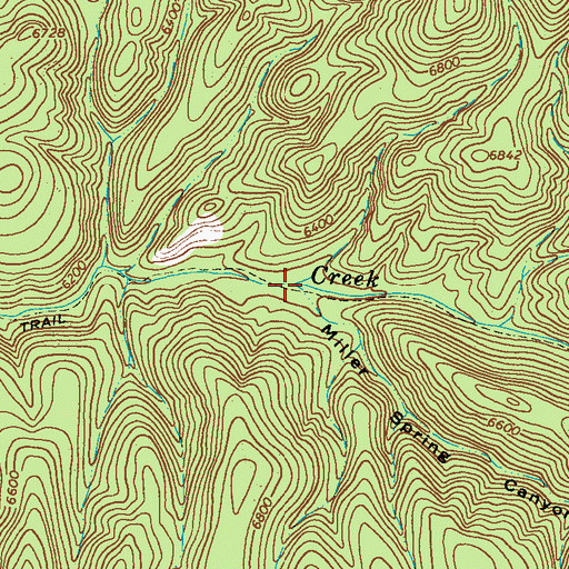 Topographic Map of Miller Spring Canyon, NM