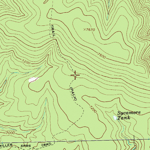 Topographic Map of Miller Springs Trail, NM