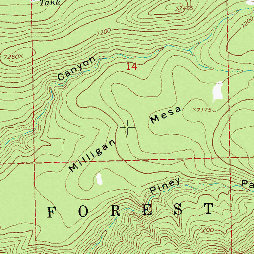 Topographic Map of Milligan Mesa, NM