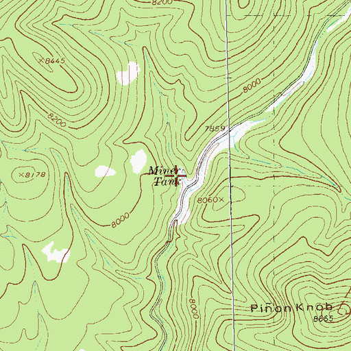 Topographic Map of Miner Tank, NM