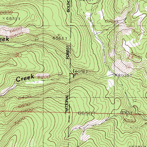 Topographic Map of Mineral Creek, NM