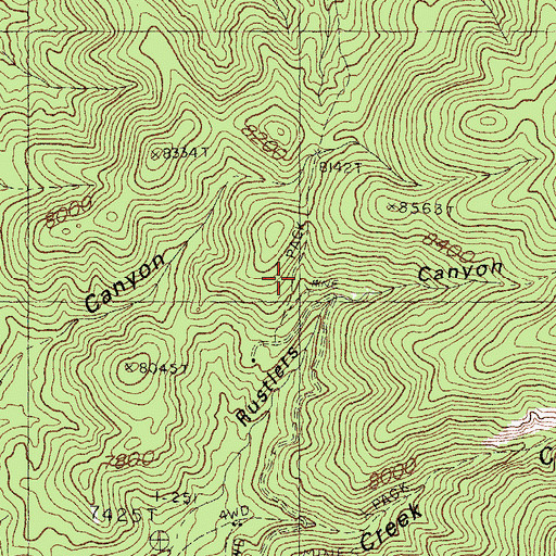 Topographic Map of Mineral Mountain Mine, NM