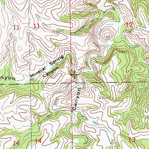 Topographic Map of Mineral Spring Canyon, NM