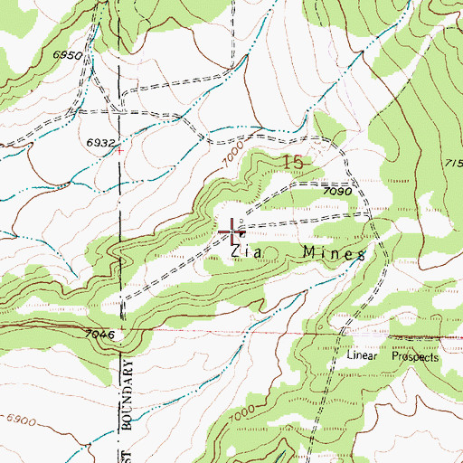 Topographic Map of Zia Mines, NM