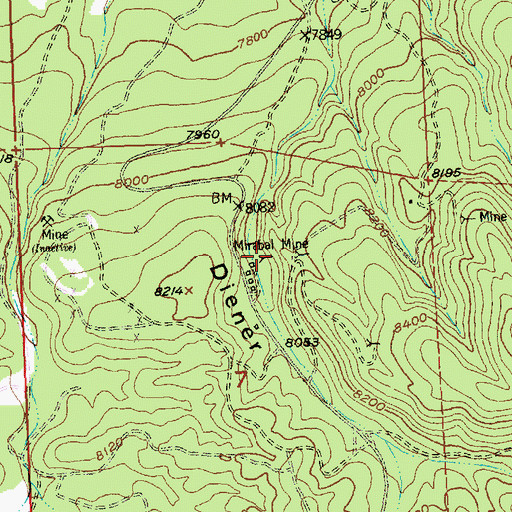 Topographic Map of Mirabal Mine, NM