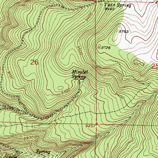 Topographic Map of Mirabel Spring, NM