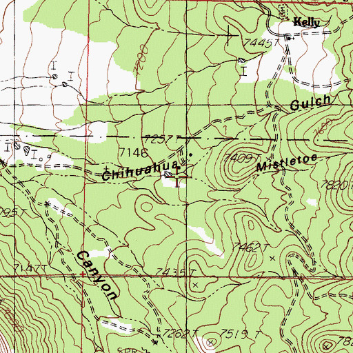 Topographic Map of Mistletoe Gulch, NM