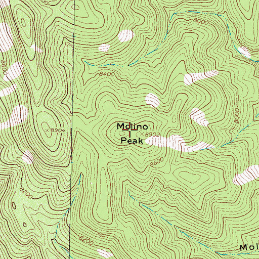 Topographic Map of Molino Peak, NM
