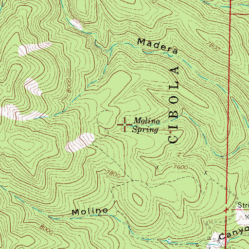 Topographic Map of Molino Spring, NM