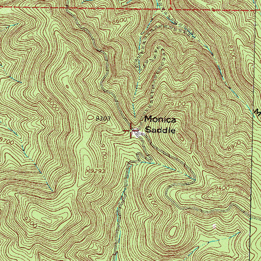Topographic Map of Monica Saddle, NM