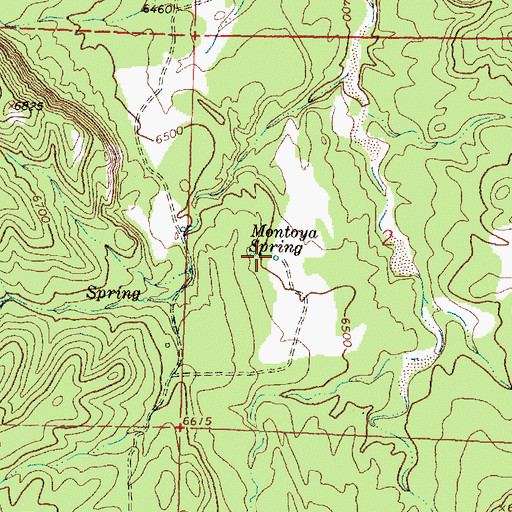 Topographic Map of Montoya Spring, NM