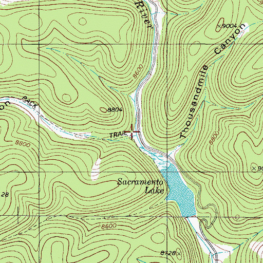 Topographic Map of Moore Canyon, NM
