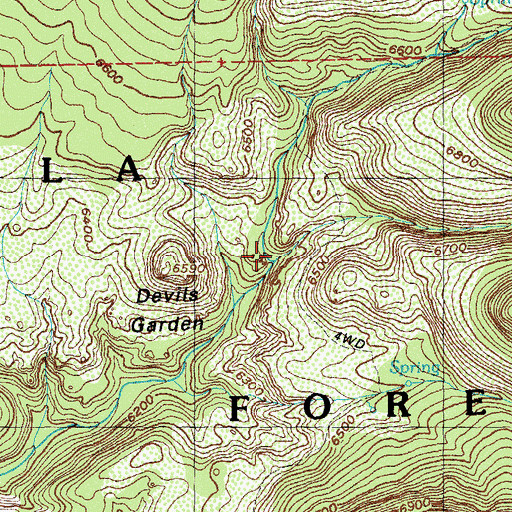 Topographic Map of Moore Canyon, NM