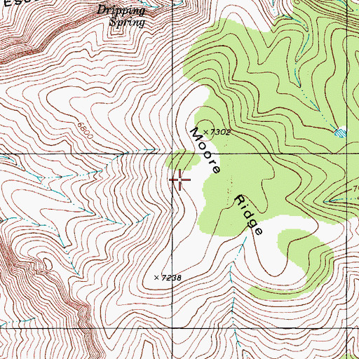 Topographic Map of Moore Ridge, NM