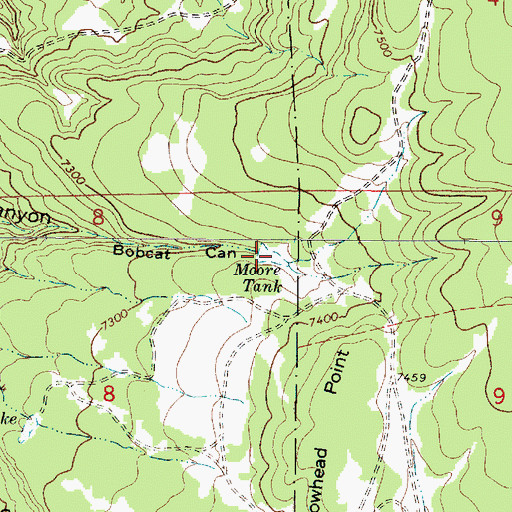 Topographic Map of Moore Tank, NM