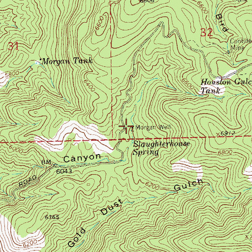 Topographic Map of Morgan Well, NM