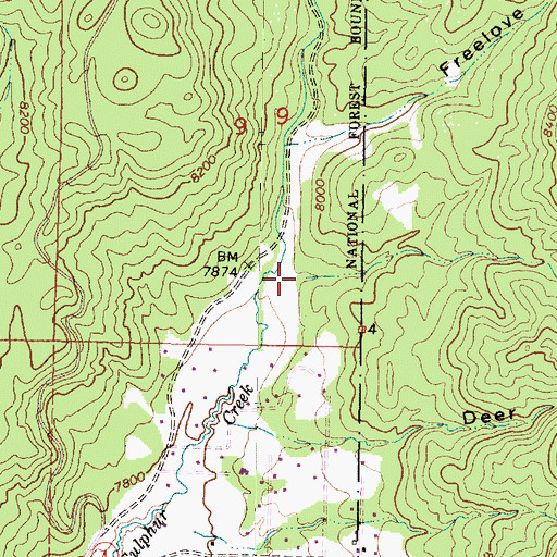 Topographic Map of Mormon Canyon, NM