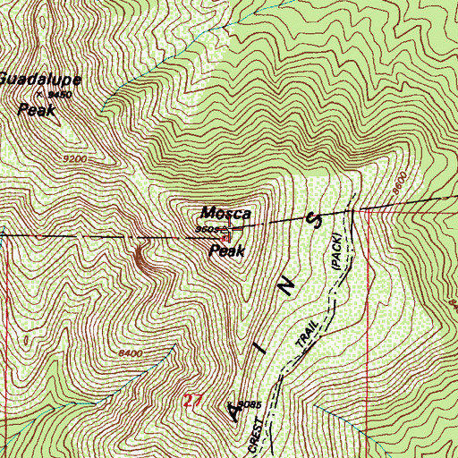 Topographic Map of Mosca Peak, NM