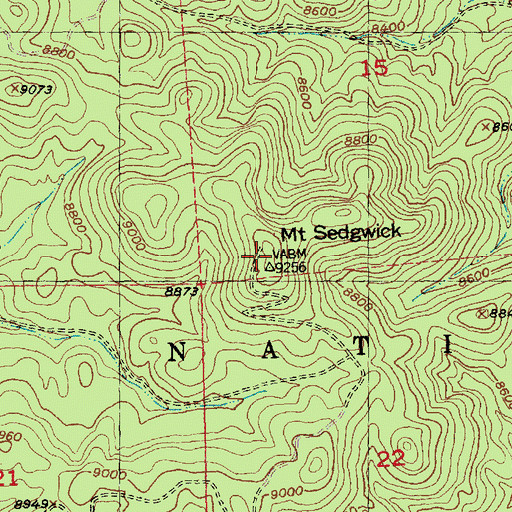 Topographic Map of Mount Sedgwick, NM