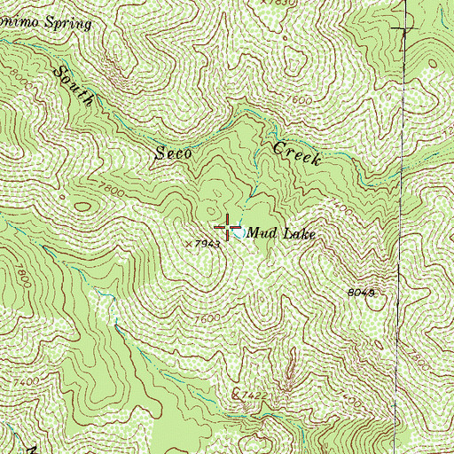 Topographic Map of Mud Lake, NM