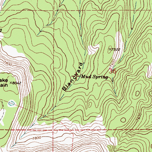 Topographic Map of Mud Spring, NM