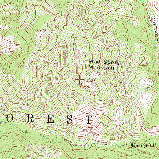 Topographic Map of Mud Spring Mountain, NM