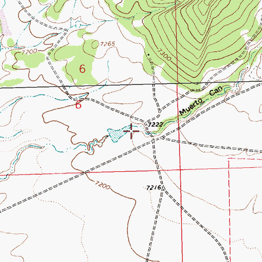 Topographic Map of Muerto Canyon, NM