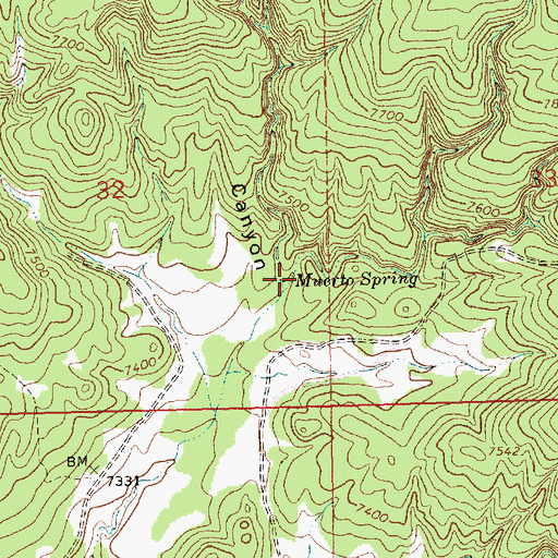 Topographic Map of Muerto Spring, NM