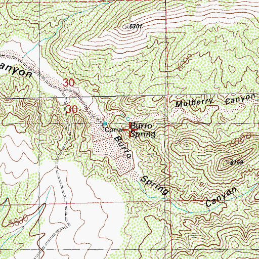 Topographic Map of Mulberry Canyon, NM