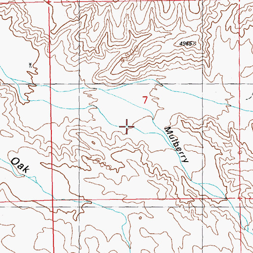 Topographic Map of Mulberry Canyon, NM
