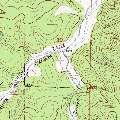 Topographic Map of Mule Canyon, NM
