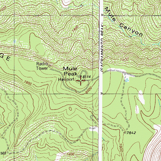 Topographic Map of Mule Peak, NM