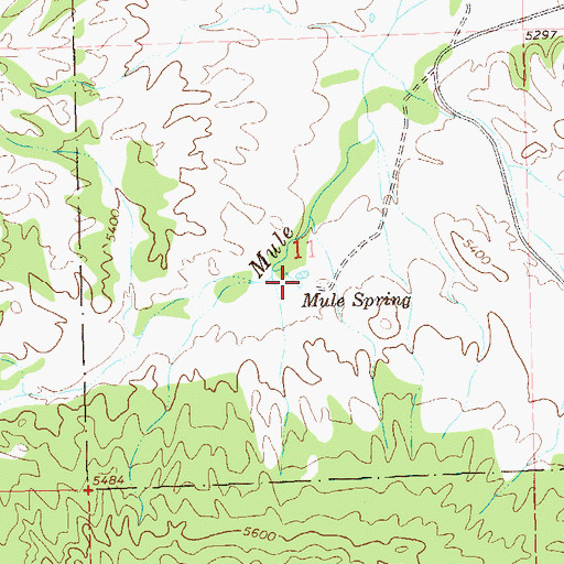 Topographic Map of Mule Spring, NM
