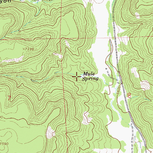 Topographic Map of Mule Spring, NM