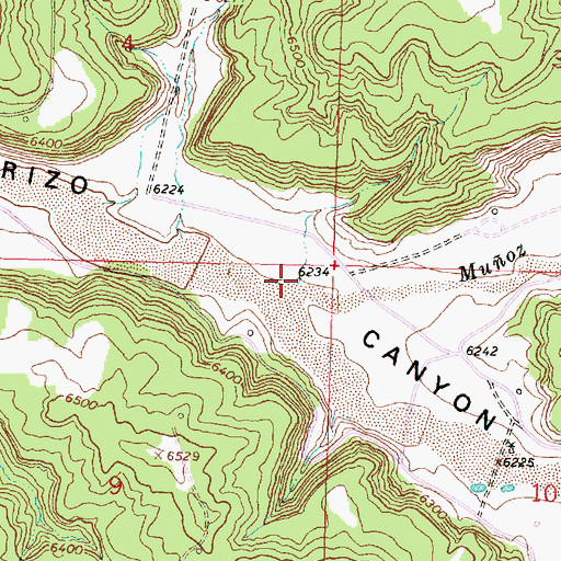 Topographic Map of Muoz Creek, NM
